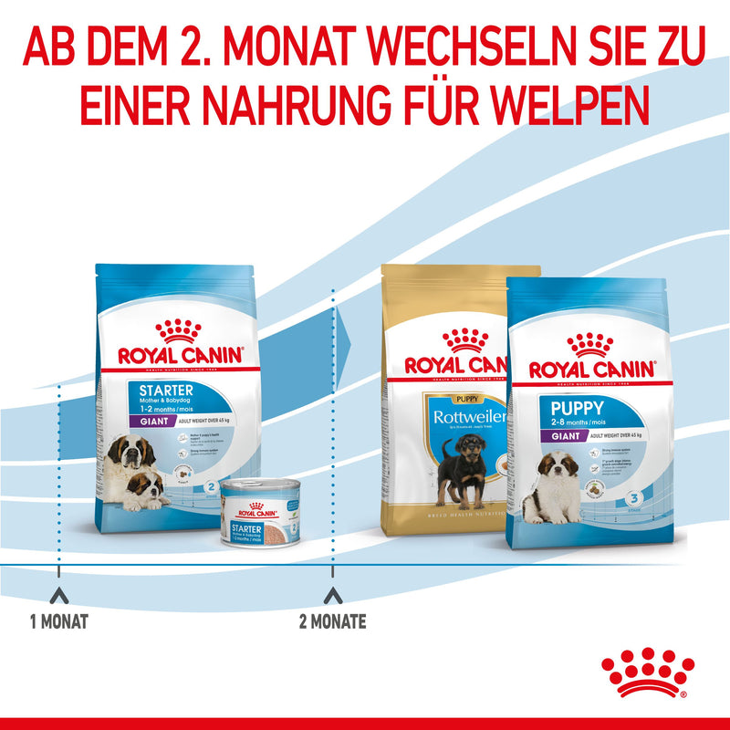 Royal Canin Giant Starter Trockenfutter