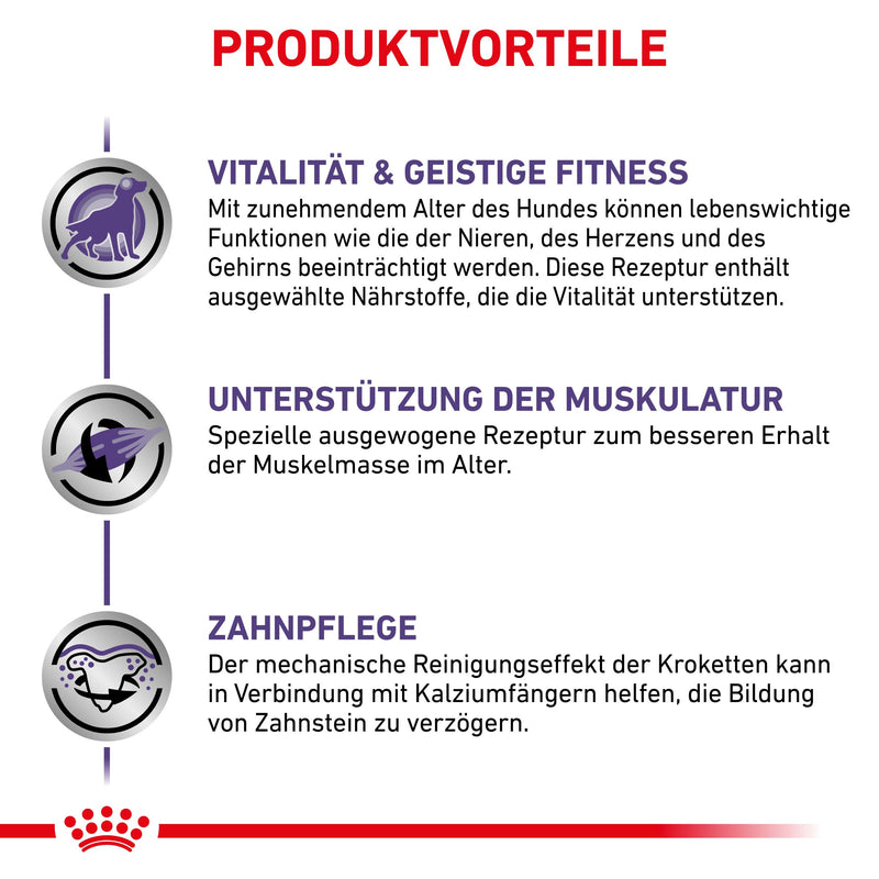 Royal Canin Mature Consult Small Dogs Trockenfutter für Hunde