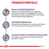 Royal Canin Mature Consult Large Dogs Trockenfutter für Hunde