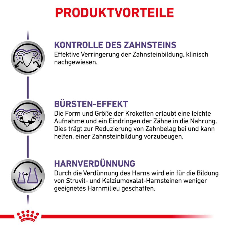 Royal Canin Dental Small Dogs Trockenfutter für Hunde