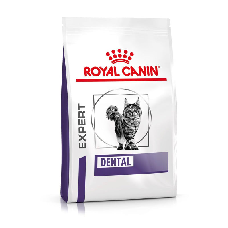 Royal Canin Dental Trockenfutter für Katzen