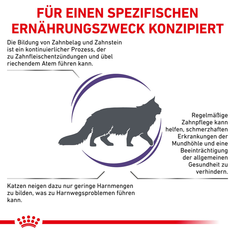 Royal Canin Dental Trockenfutter für Katzen
