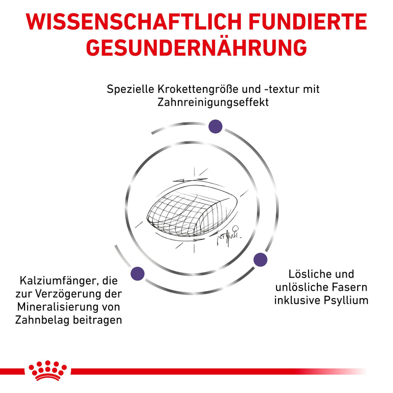 Royal Canin Dental Trockenfutter für Katzen