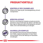 Royal Canin Dental Trockenfutter für Katzen