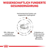 Royal Canin Hepatic Katzenfutter