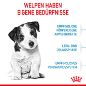 Royal Canin Mini Puppy für Welpen kleiner Hunderassen
