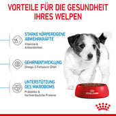 Royal Canin Mini Puppy für Welpen kleiner Hunderassen