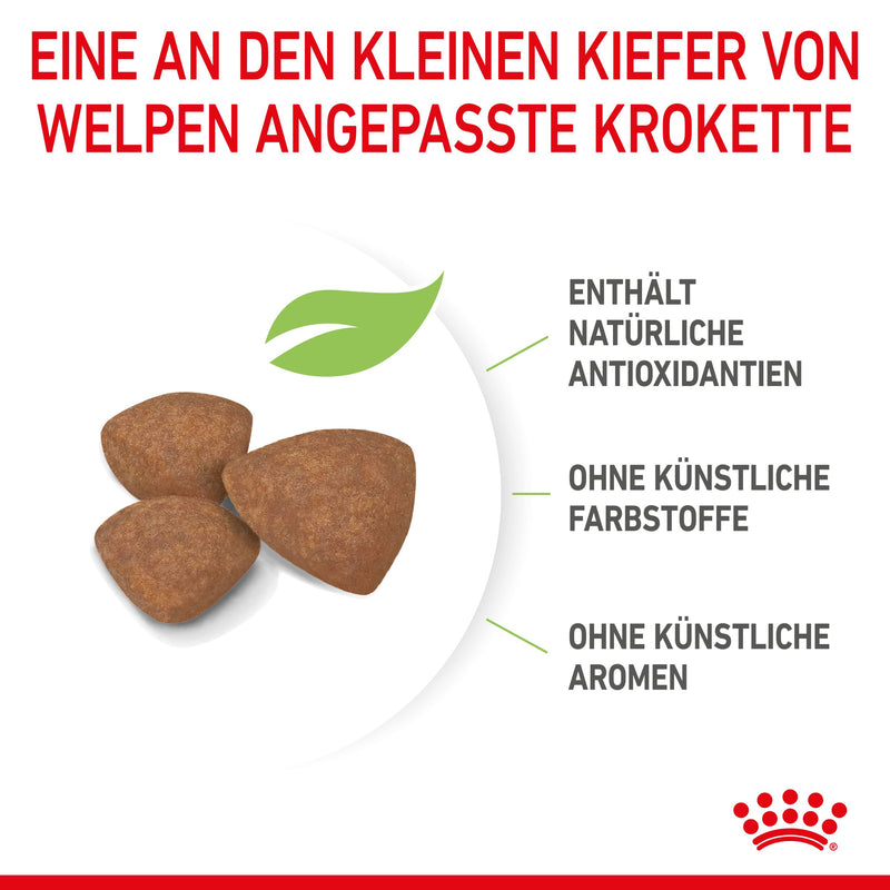 Royal Canin Mini Puppy für Welpen kleiner Hunderassen