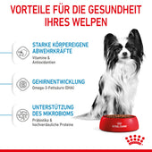 Royal Canin X-Small Puppy für Hunde