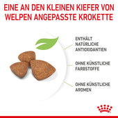 Royal Canin X-Small Puppy für Hunde
