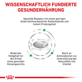 Royal Canin Diabetic Trockenfutter für Hunde