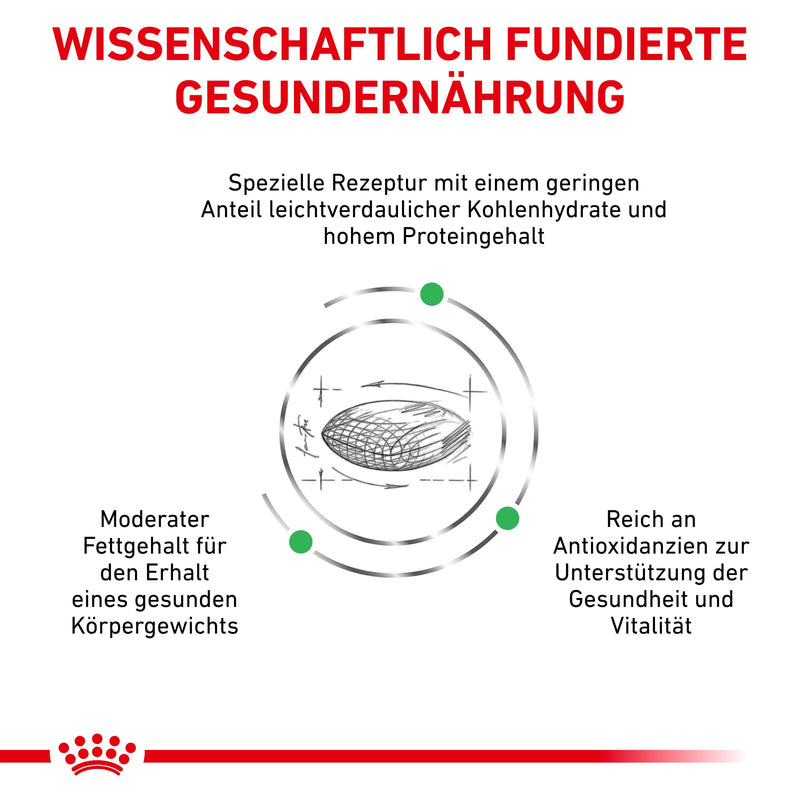Royal Canin Diabetic Trockenfutter für Hunde