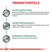 Royal Canin Diabetic Trockenfutter für Hunde