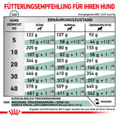 Royal Canin Diabetic Trockenfutter für Hunde