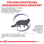 Royal Canin Adult Trockenfutter für Katzen