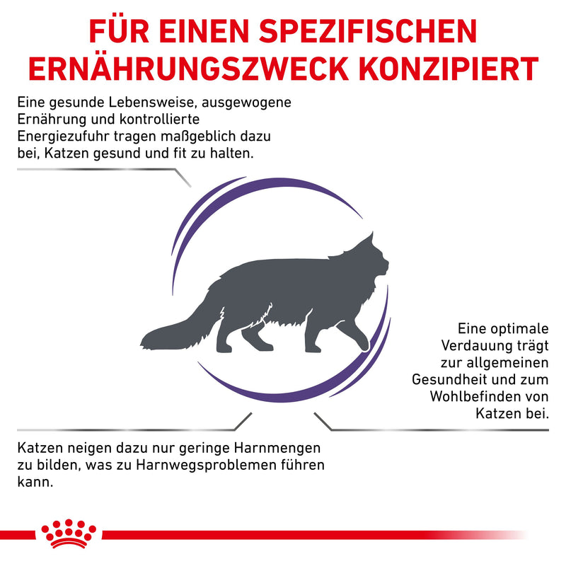 Royal Canin Adult Trockenfutter für Katzen
