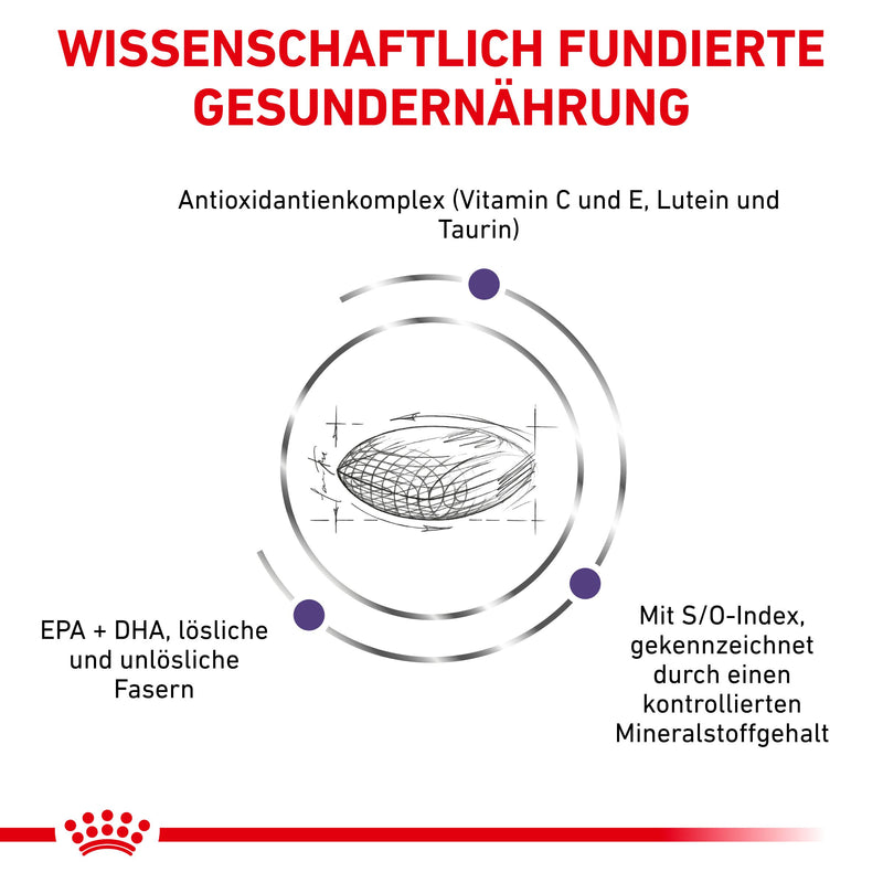 Royal Canin Adult Trockenfutter für Katzen