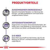 Royal Canin Adult Trockenfutter für Katzen