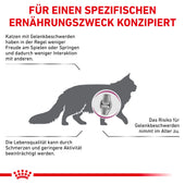 Royal Canin Mobility Trockenfutter für Katzen