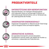 Royal Canin Renal Special Hundefutter