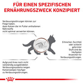 Royal Canin Gastrointestinal Kitten Katzenfutter