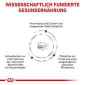 Royal Canin Gastrointestinal Kitten Katzenfutter