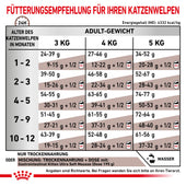 Royal Canin Gastrointestinal Kitten Katzenfutter