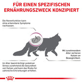 Royal Canin EARLY RENAL Katze