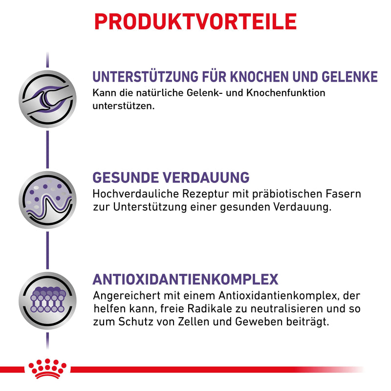Royal Canin Adult Large Dogs Trockenfutter für Hunde