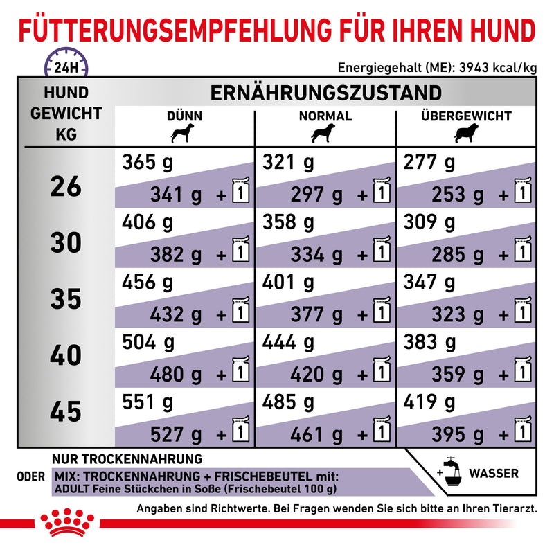 Royal Canin Adult Large Dogs Trockenfutter für Hunde