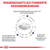 Royal Canin Dental Medium & Large Dogs Trockenfutter für Hunde