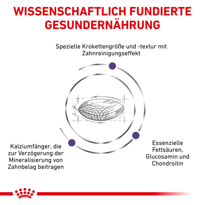 Royal Canin Dental Medium & Large Dogs Trockenfutter für Hunde