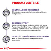 Royal Canin Dental Medium & Large Dogs Trockenfutter für Hunde