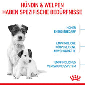 Royal Canin Mini Starter Trockenfutter