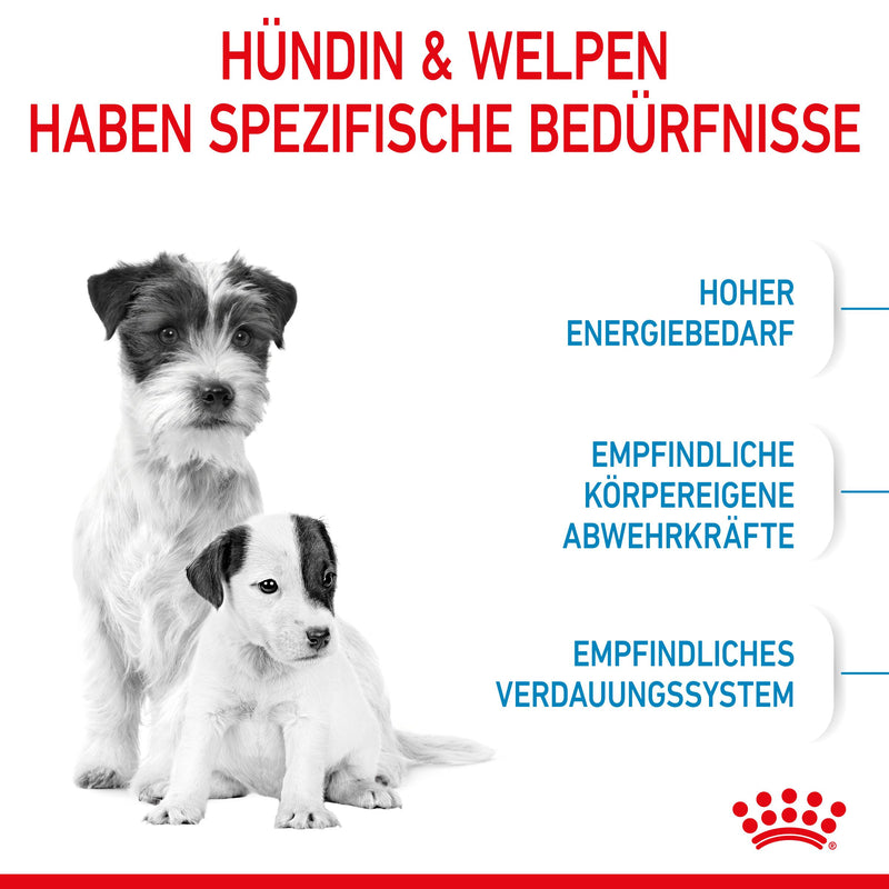 Royal Canin Mini Starter Trockenfutter