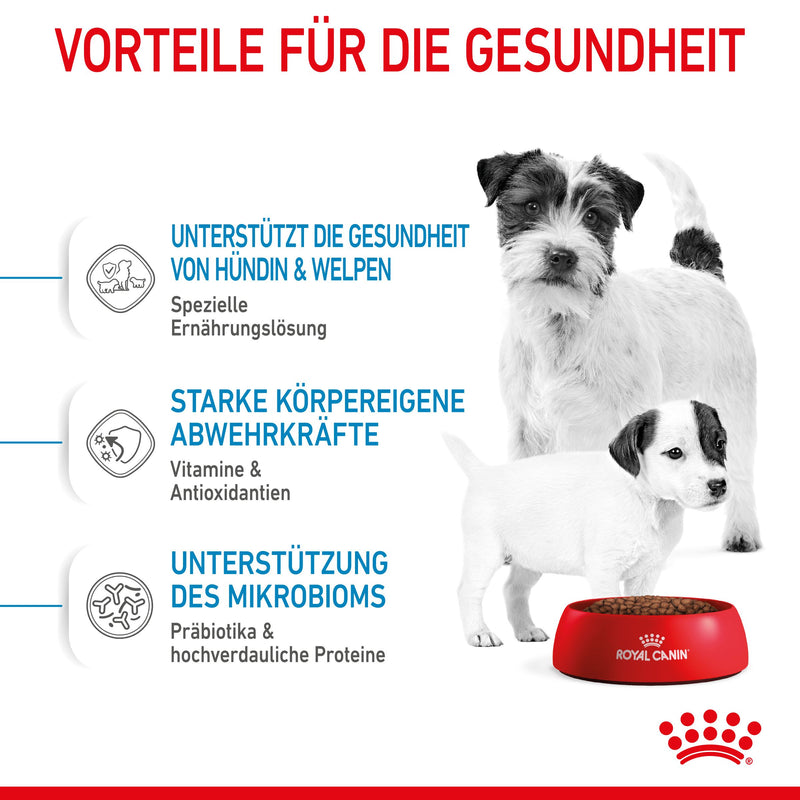 Royal Canin Mini Starter Trockenfutter