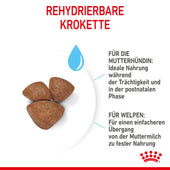 Royal Canin Mini Starter Trockenfutter