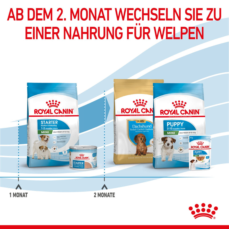 Royal Canin Mini Starter Trockenfutter