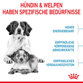 Royal Canin Medium Starter Trockenfutter
