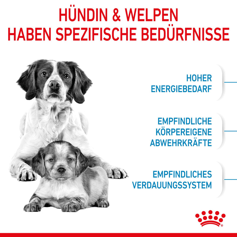 Royal Canin Medium Starter Trockenfutter