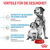 Royal Canin Medium Starter Trockenfutter