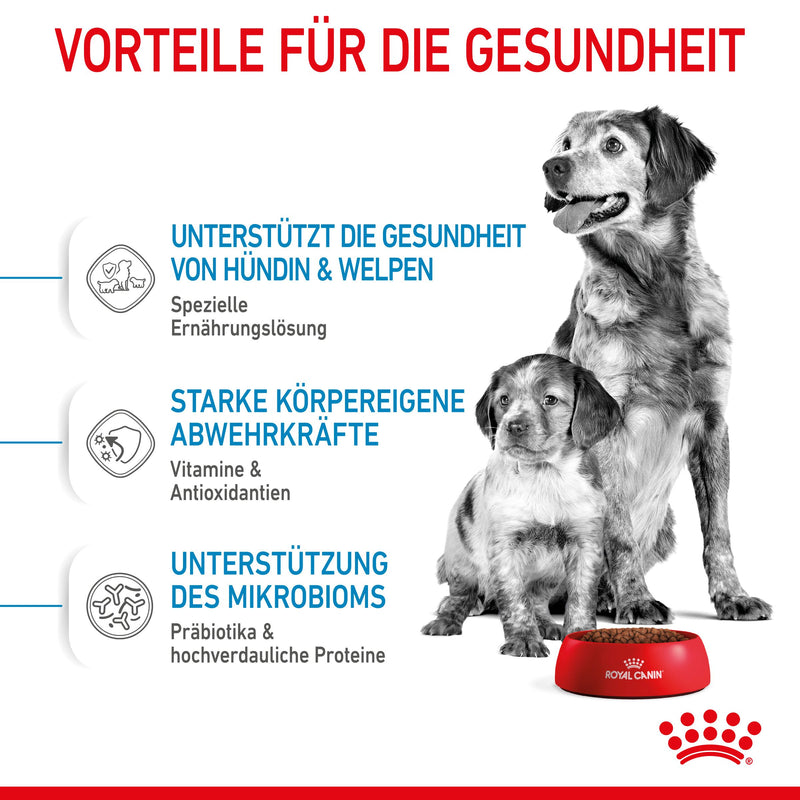 Royal Canin Medium Starter Trockenfutter