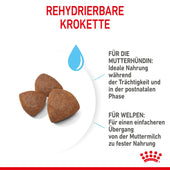 Royal Canin Medium Starter Trockenfutter