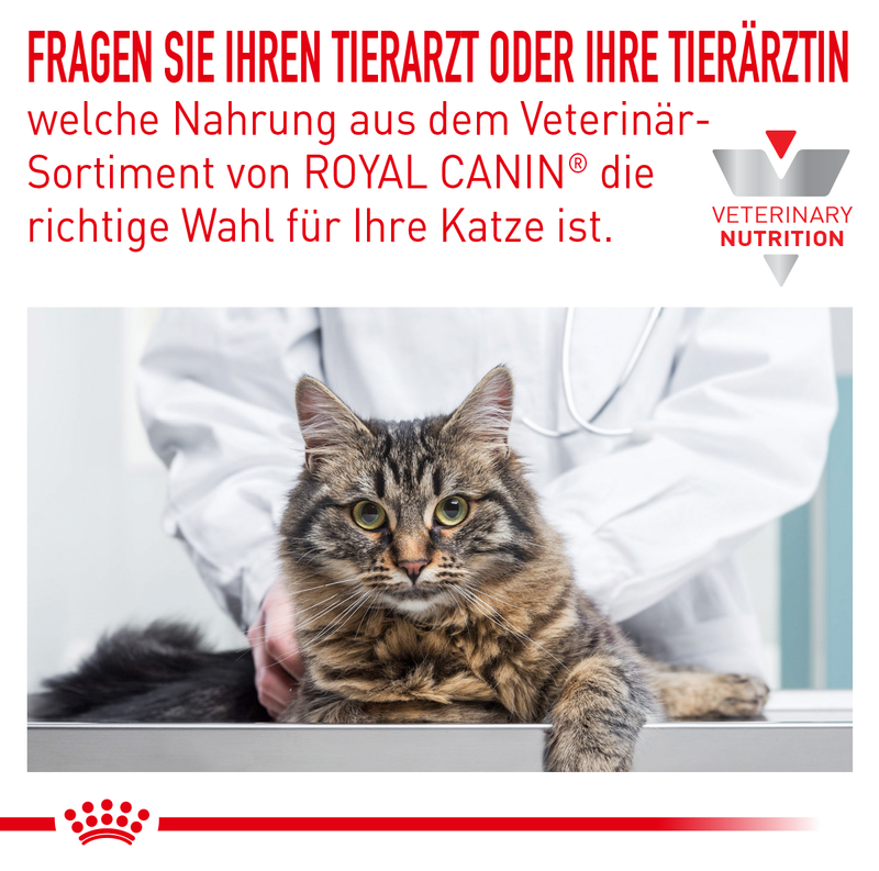 Royal Canin Skin & Coat für Katzen
