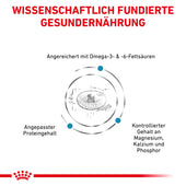Royal Canin Skin & Coat für Katzen