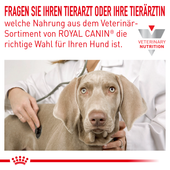 Royal Canin Hypoallergenic Hundefutter