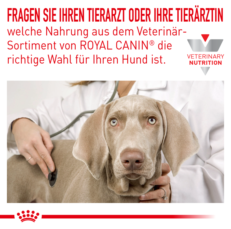 Royal Canin Skin Care Small Dogs Trockenfutter