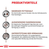 Royal Canin Gastrointestinal Low Fat Small Dogs Trockenfutter
