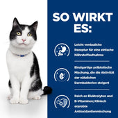 Hills i/d mit ActivBiome+ große Dosen für Katzen