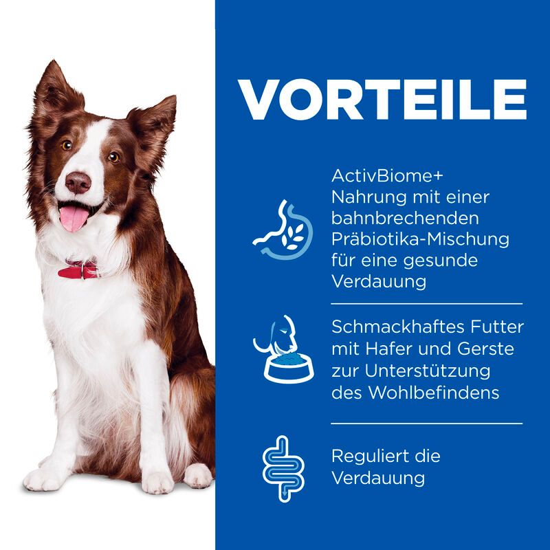 Hills Science Plan Canine Perfect Digestion Adult Huhn Dosenfutter für Hunde